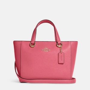 Coach Alice Satchel
